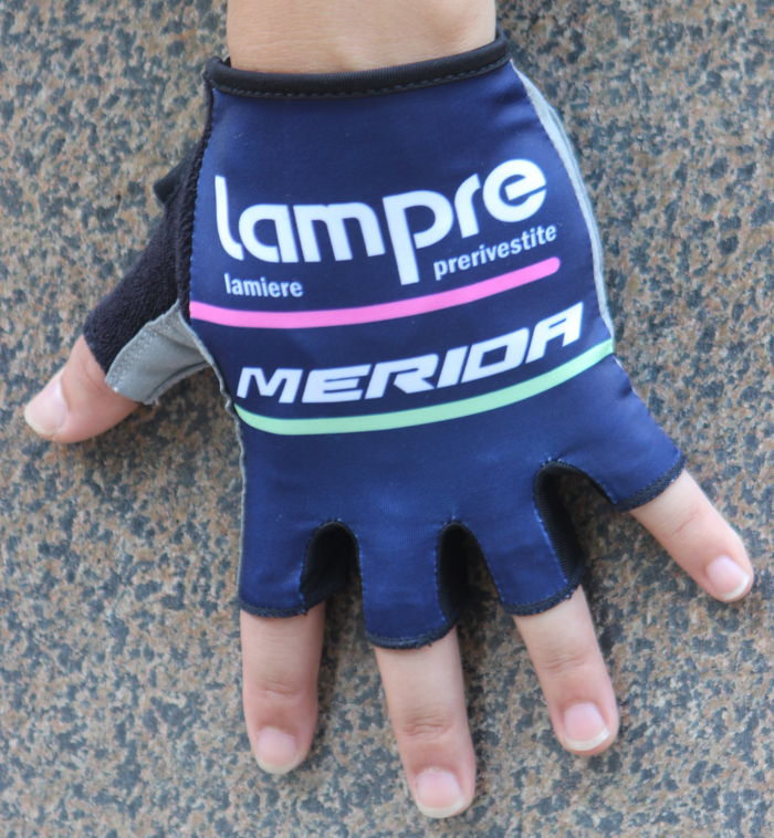 Hundschuhe Lampre 2016